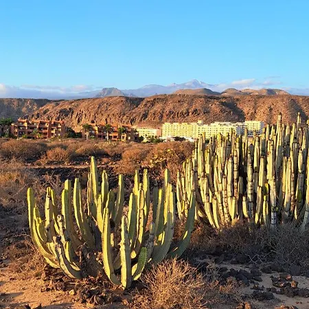 Casa Olaskri * بالم مار