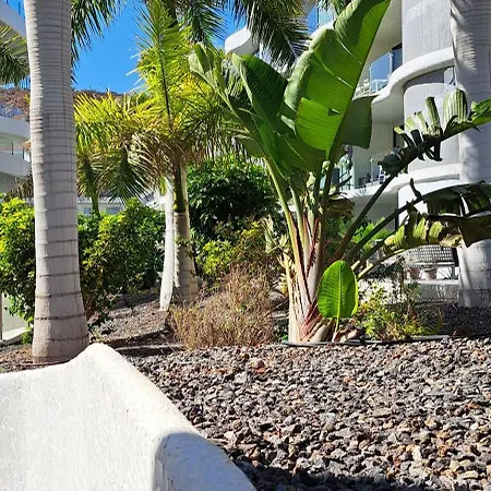 Casa Olaskri パルム・マール