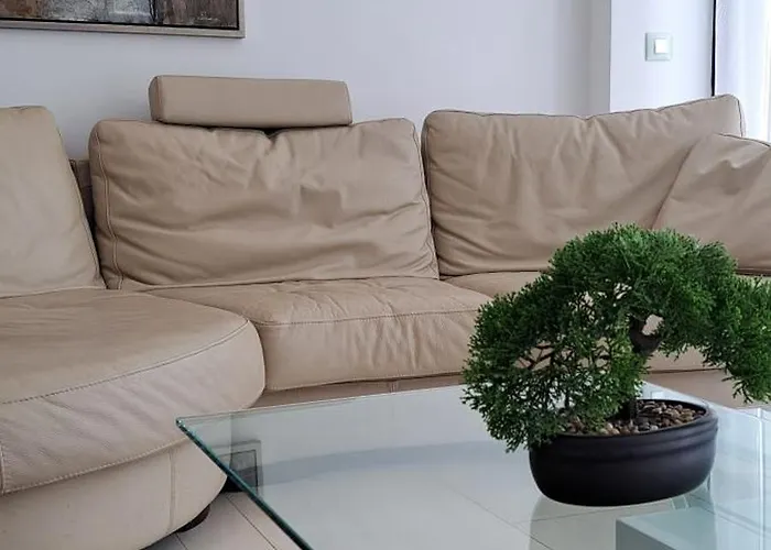 Apartament Casa Olaskri