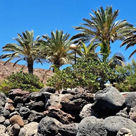 Appartement Casa Olaskri Palm-mar