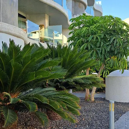 Casa Olaskri 滨海帕尔姆